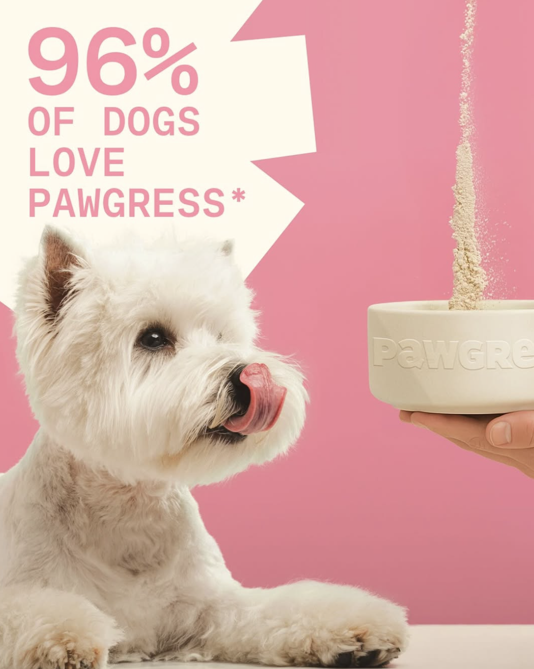 Pawgress visual 5